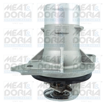 Thermostat, coolant